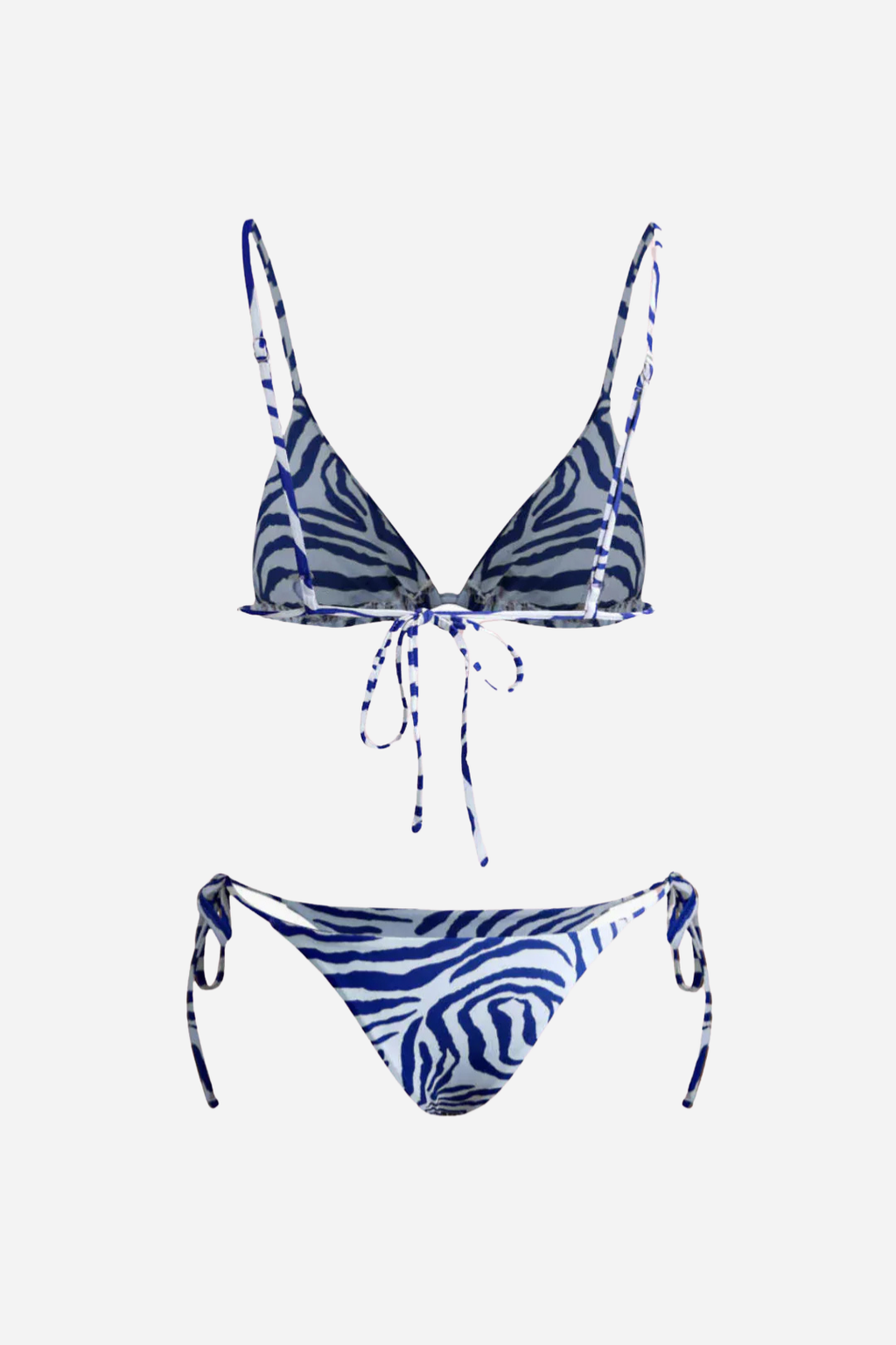 Blue Zebra Print Bikini